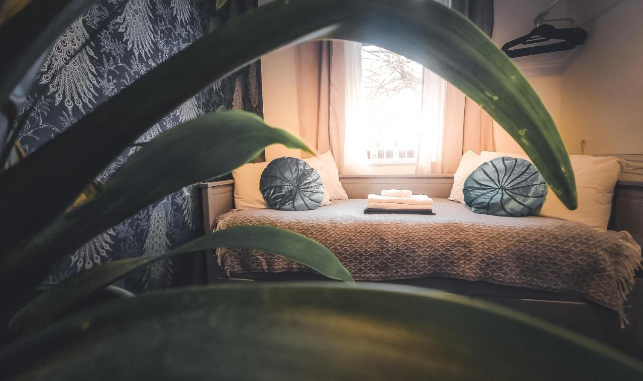 Whole Stylish Apartment 1880S Guinness Worker House Dublin Exteriér fotografie